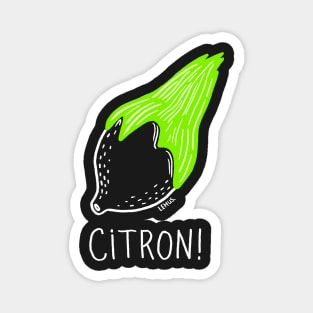 Citron, Bibi! Magnet