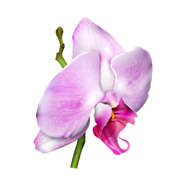 Cherry Blossom Orchid by designsbycreation