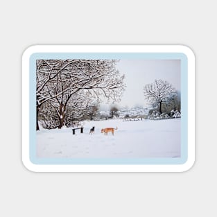 dog snow scene landscape with trees & rooftops art Magnet