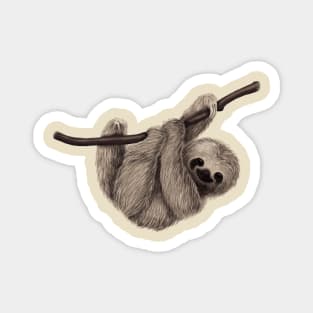 Vintage Sloth Magnet