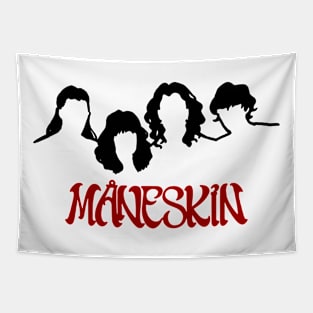 maneskin_oi Tapestry