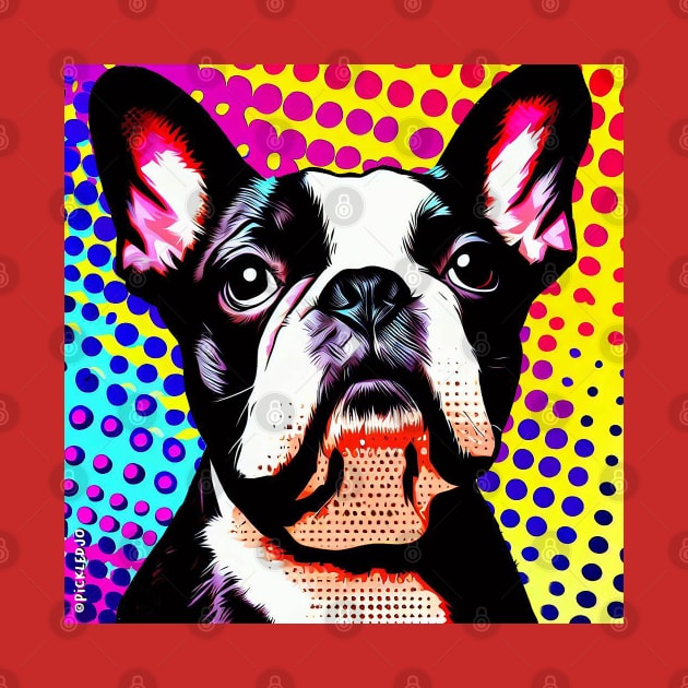 Boston Terrier Pop Art by Sketchy