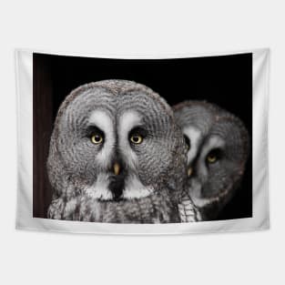 Great Gray Owl Tapestry