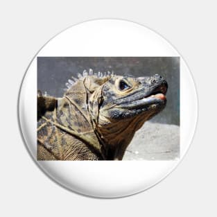 Sailfin Lizard Pin