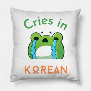 Cries in Korean Funny and Cute Pillow