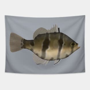 Black Banded Sunfish Tapestry