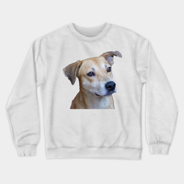 sweatshirt with dogs face on it