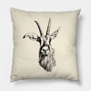 Roan antelope Pillow