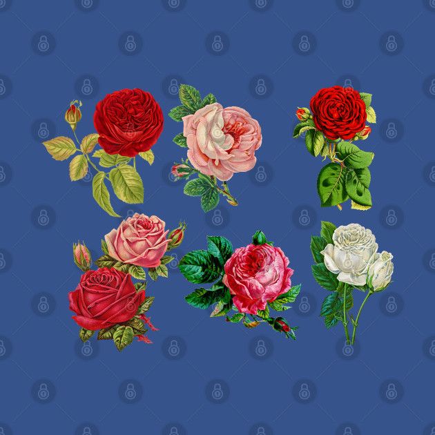 Discover Roses pattern Art - Roses - T-Shirt