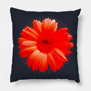 Flower Chakra Red Pillow