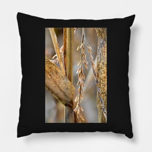 Corn Stalk details Pillow