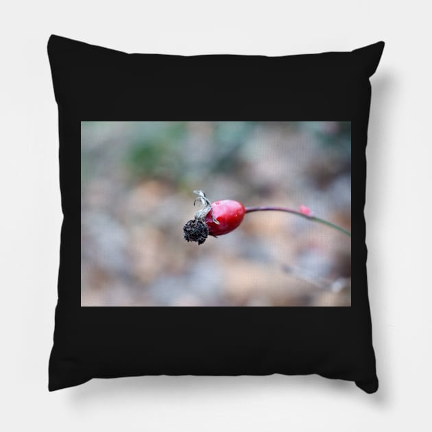 Wild Rose Fruit Pillow by Anastasia-03