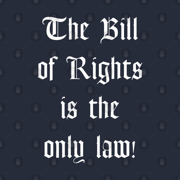 The Bill of Rights is the Only Law by TraditionalWitchGifts