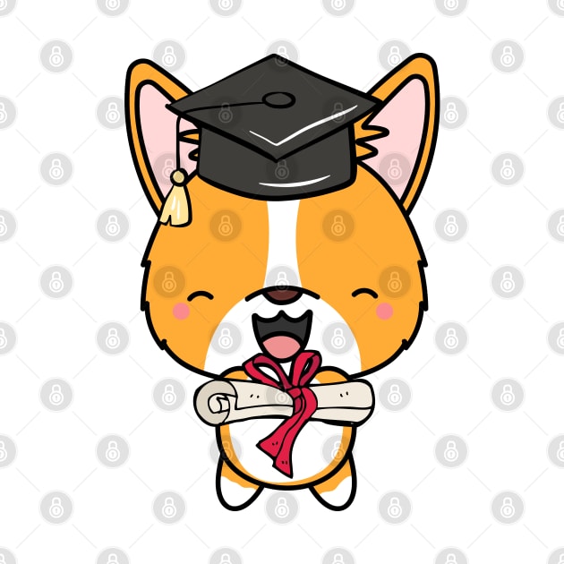 Funny Corgi is graduating by Pet Station