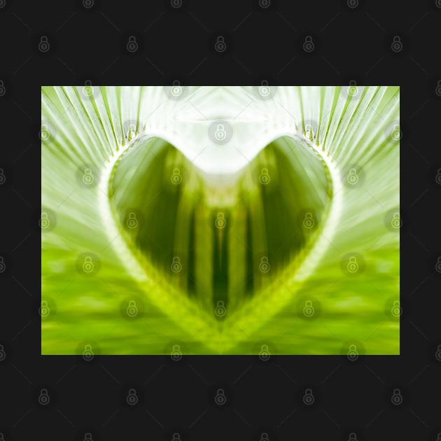 Green Palm Heart by heidiannemorris