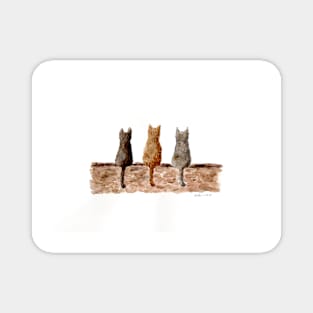 Three cats on the wall Magnet