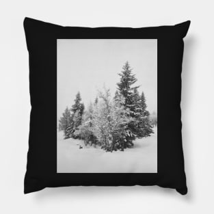 Snow-Covered Fir Trees in Frozen Winter Landscape in Black and White Pillow