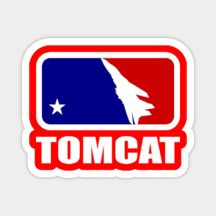 F-14 Tomcat Magnet