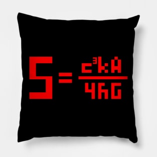 Black Hole Equation Pillow