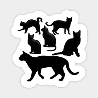 black cats Magnet