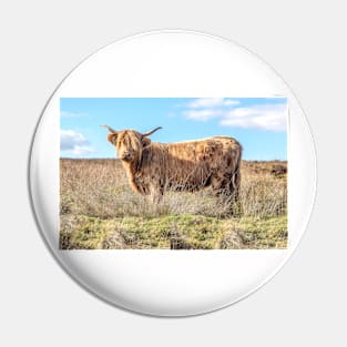 Highland Cow canvas Pin