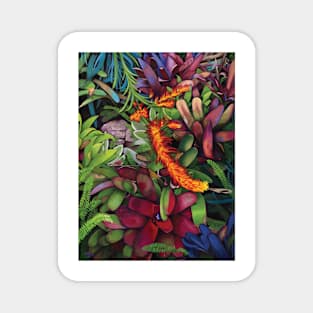 Bromeliart Magnet