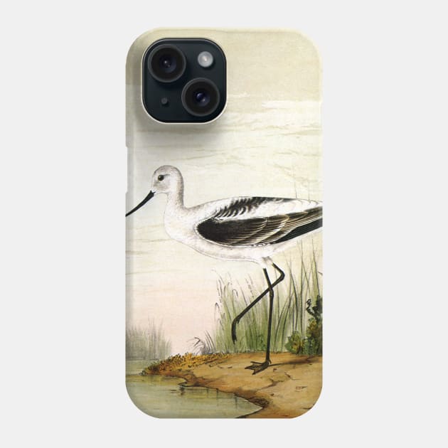 Vintage Avocet Phone Case by MasterpieceCafe