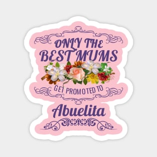 Only The Best Mums Get Promoted To Abuelita Gift Magnet