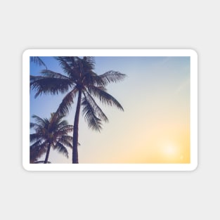 Palm Tree By The Beach Magnet