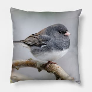 Cassiar Dark-Eyed Junco Sparrow: When East Meets West Pillow