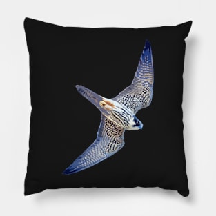 Hobby Cutout Art Pillow