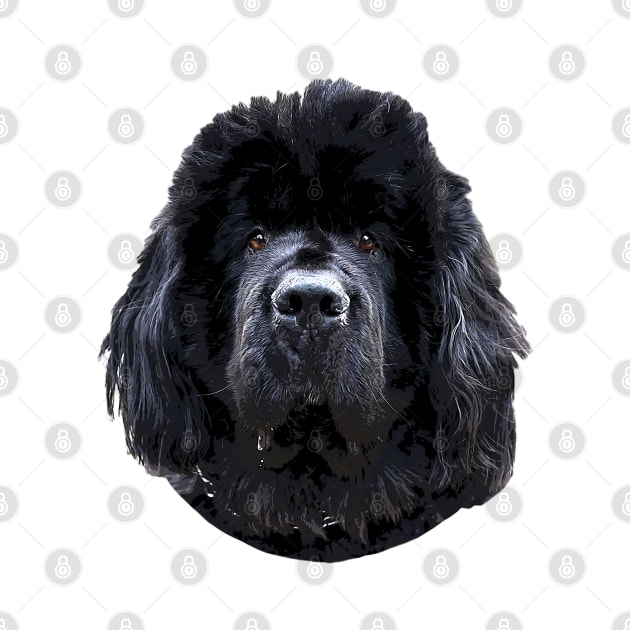 Newfoundland Puppy Dog by ElegantCat