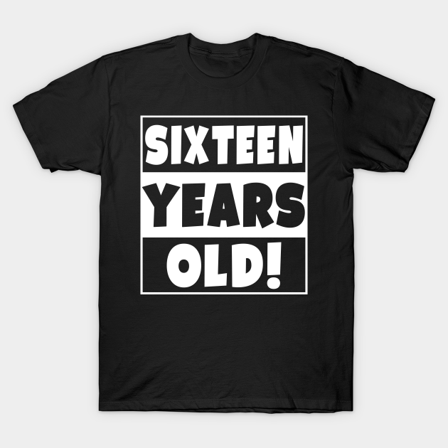 Sixteen Years Old Happy Birthday Party 16 Year Old - Sixteen Years Old ...