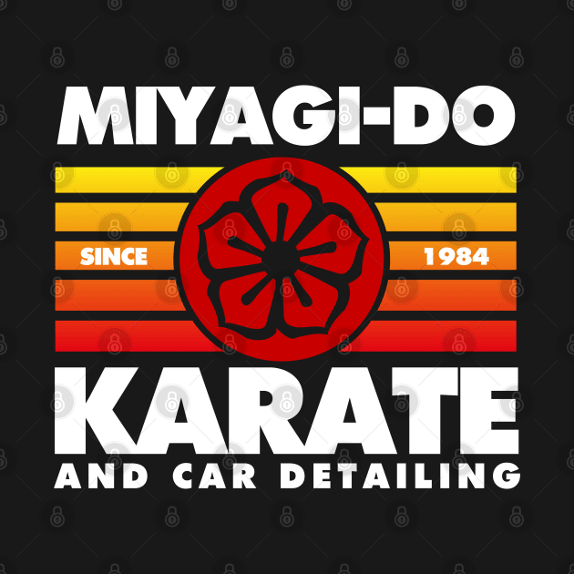 Miyagi Do Karate and Car Detailing by Meta Cortex