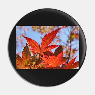 Red Maple Leaves Pin