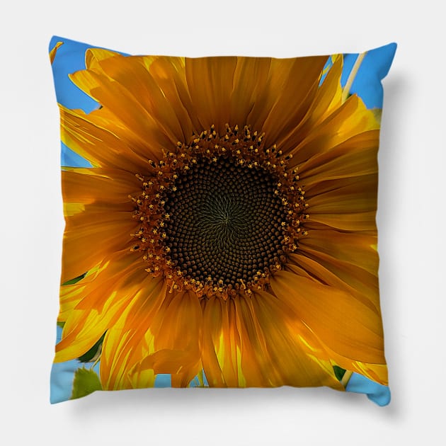 Sun Kissed Sunflower Pillow by Rebekah Slick