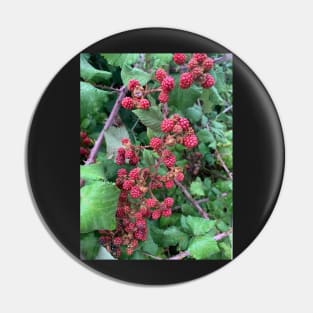 Berry Pin