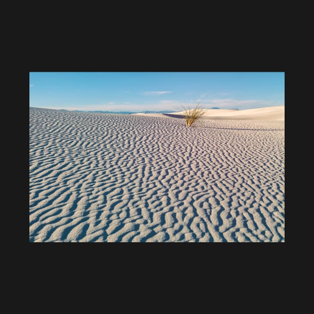 Sand Patterns by jvnimages