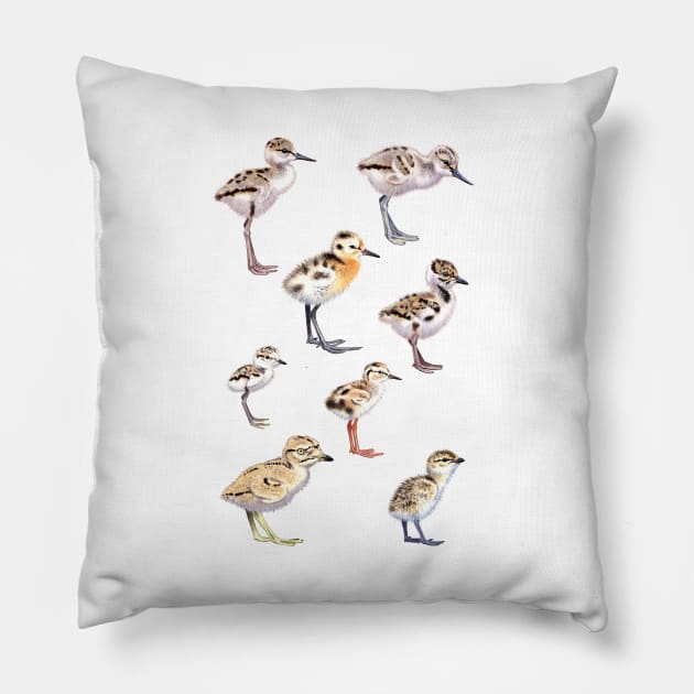 Shorebird chicks Pillow by kokayart