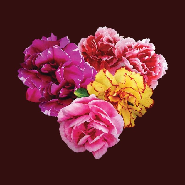 Carnations - Carnation Heart Mixed Colors by SusanSavad