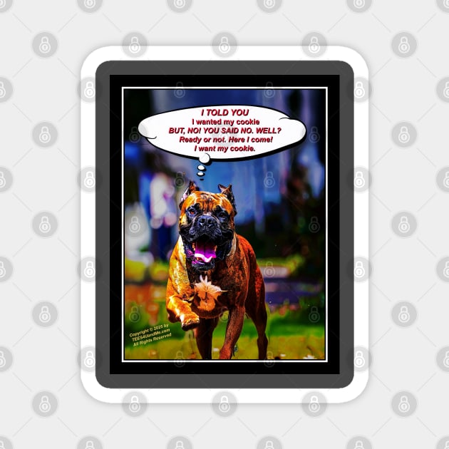 I TOLD YOU I WANTED MY COOKIE, but you said no. Magnet by Erik's Store