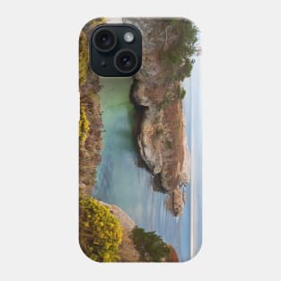 China Cove Phone Case