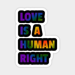 Love is a Human Right Magnet