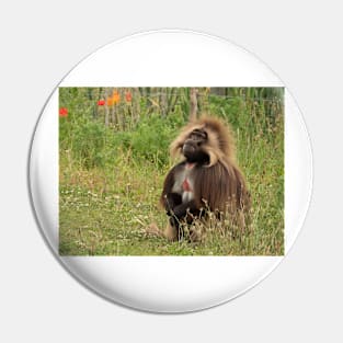 Gelada baboon Pin