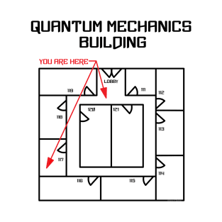 Black Quantum Mechanics Building T-Shirt