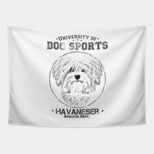 University of Dog Sports Tapestry