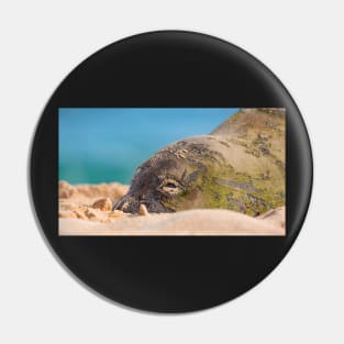 Hawaiian Monk Seal Pin