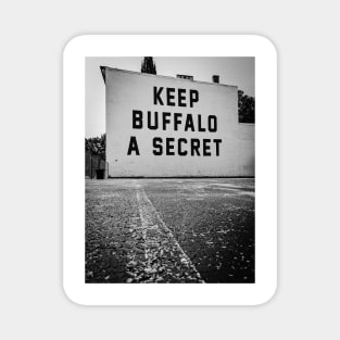 Secret Buffalo (2) Magnet