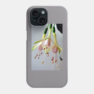 White Fuchsia Hawkshead Summer Flower Phone Case