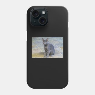 alley cat Phone Case